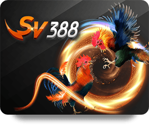 So Sánh TK88 Review Chuyên Môn Với Các Đối Thủ Khác